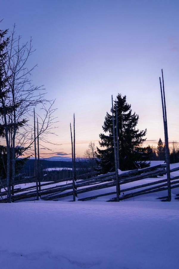 Asarna Skicenter 外观 照片